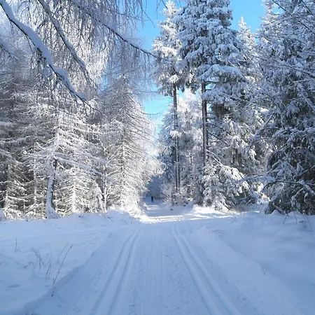 Atelier Gruenfink Διαμέρισμα Clausnitz