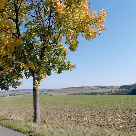 Atelier Gruenfink Διαμέρισμα Clausnitz