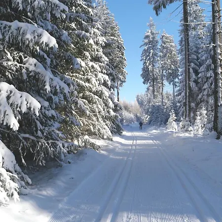 Διαμέρισμα Atelier Gruenfink Clausnitz