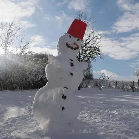 Διαμέρισμα Atelier Gruenfink Clausnitz