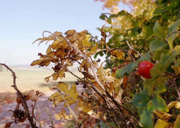 Atelier Gruenfink Apartmán