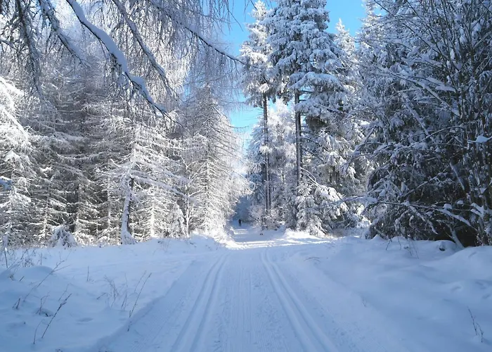 Atelier Gruenfink Apartman Clausnitz