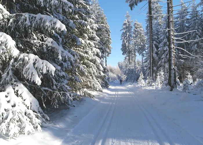 Apartman Atelier Gruenfink Clausnitz